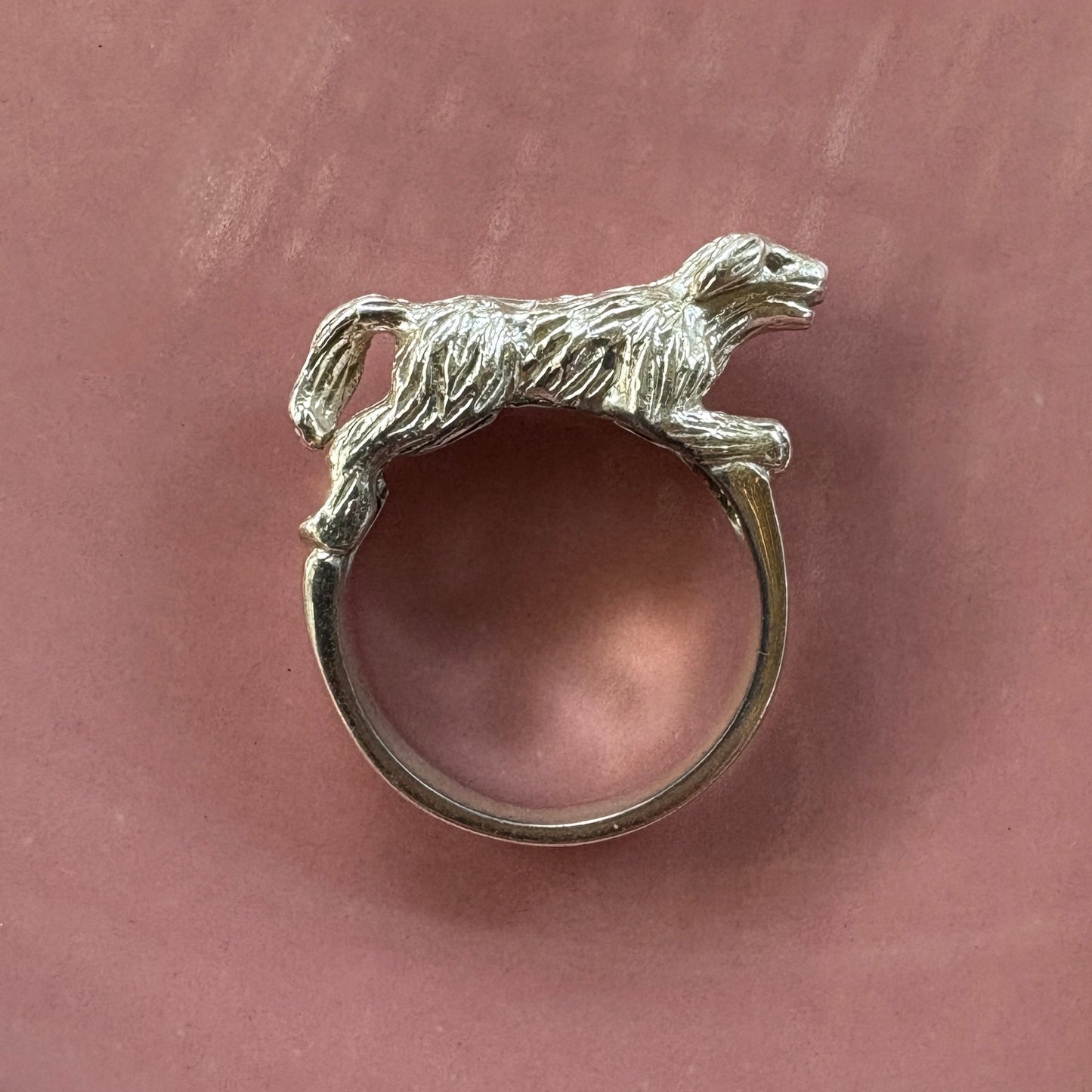 silver dog ring