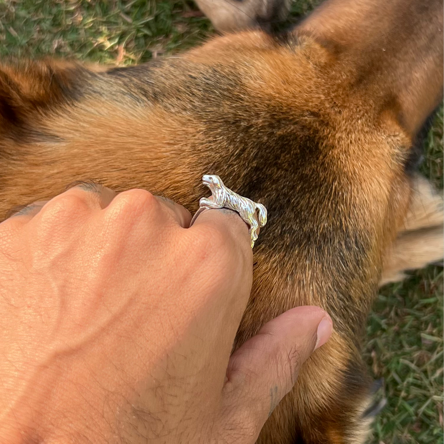 dog ring in silver